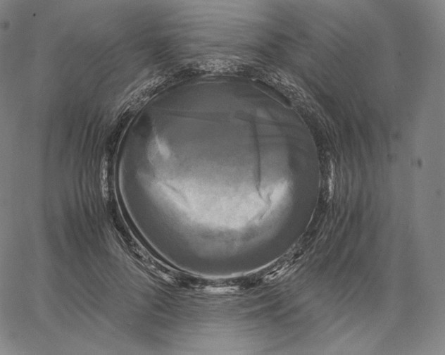 X0000062620696200601181655