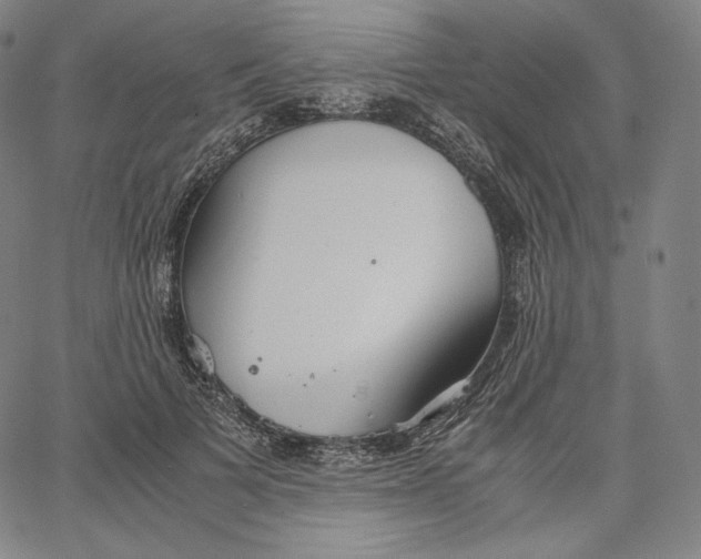 X0000062620697200601181655