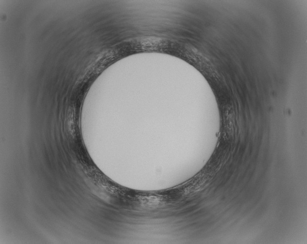 X0000062620698200601181655