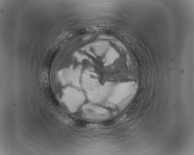 X0000062620699200601181655