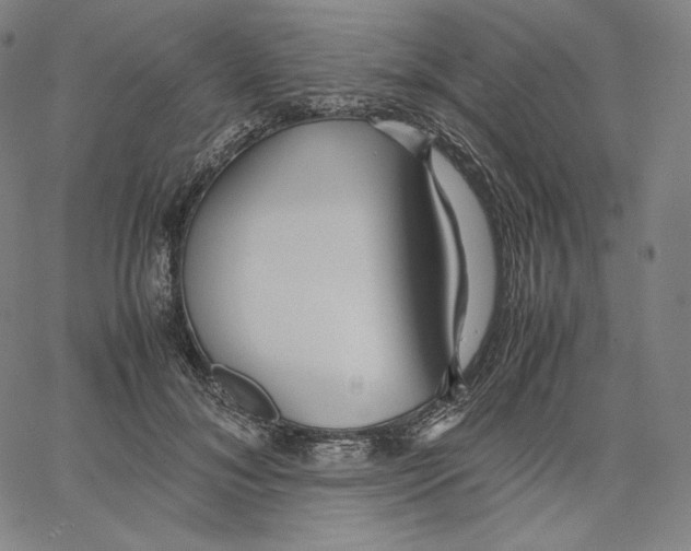 X0000062620700200601181655