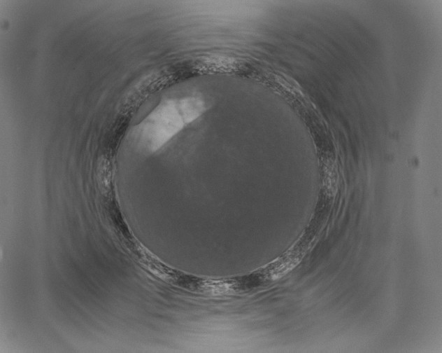 X0000062620701200601181655