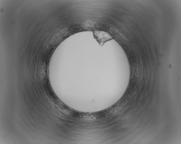 X0000062620702200601181655