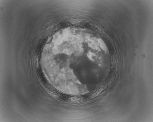 X0000062620703200601181655