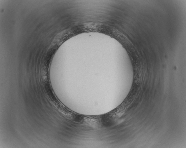 X0000062620706200601181655