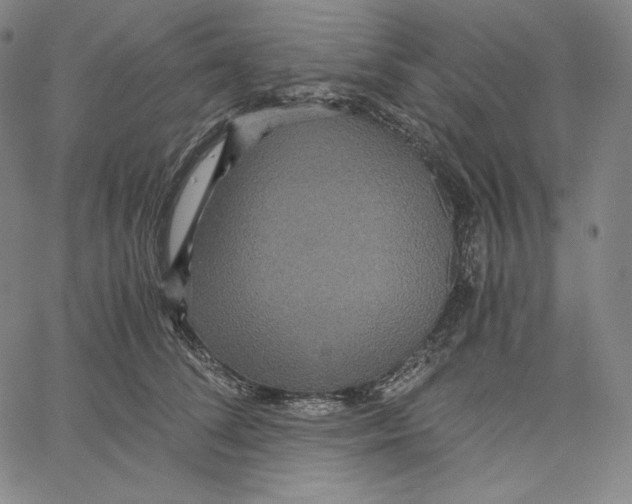 X0000062620708200601181655