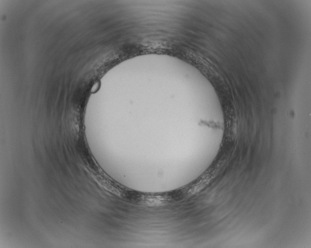 X0000062620710200601181655