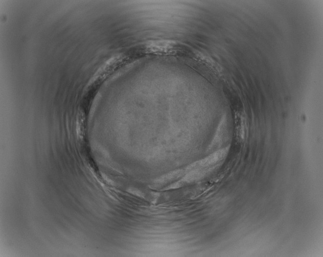 X0000062620712200601181654