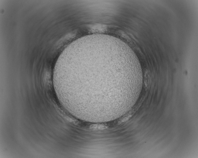 X0000062620714200601181654