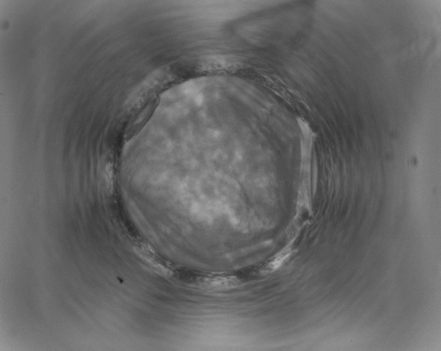 X0000062620716200601181654