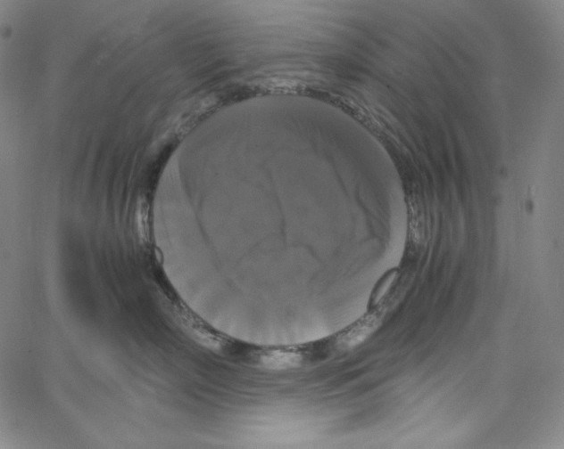 X0000062620718200601181654