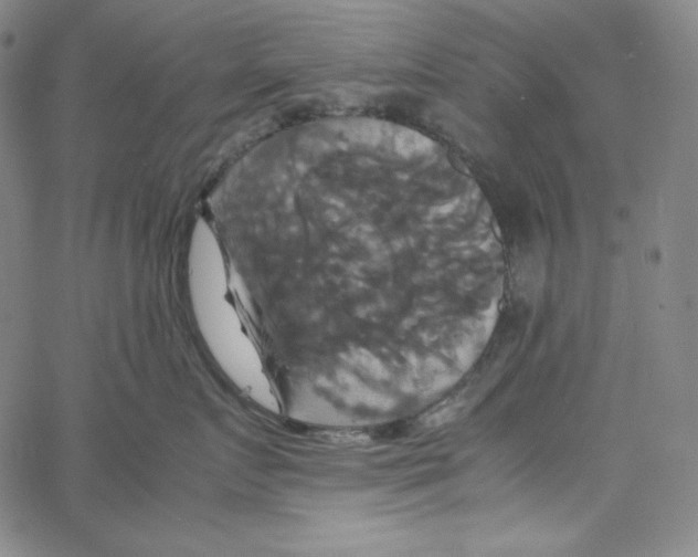 X0000062620719200601181654