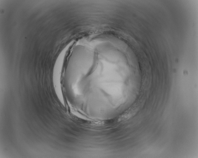 X0000062620720200601181654