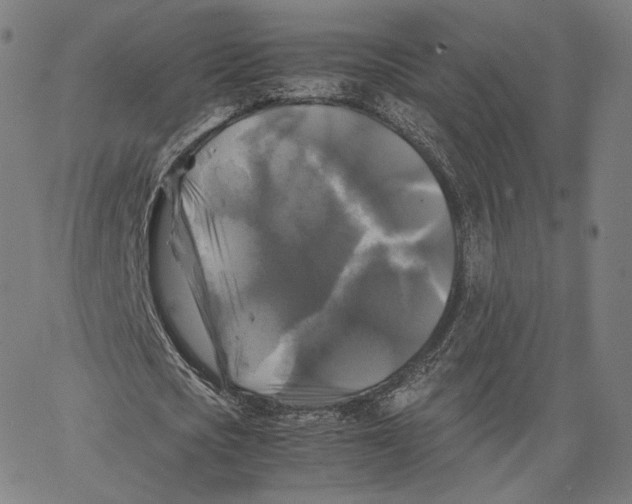 X0000062620721200601181654