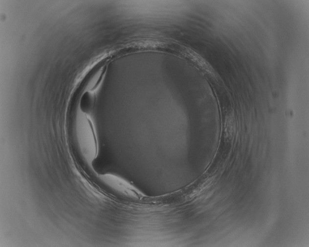 X0000062620722200601181654