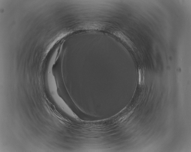 X0000062620723200601181654