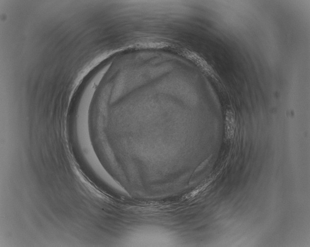 X0000062620726200601181654