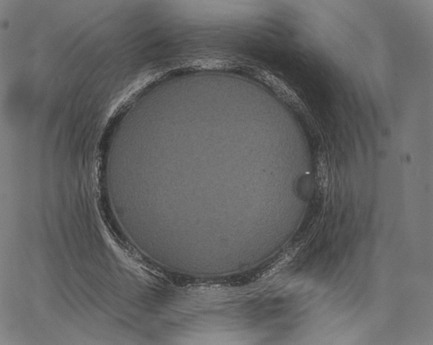 X0000062620730200601181654