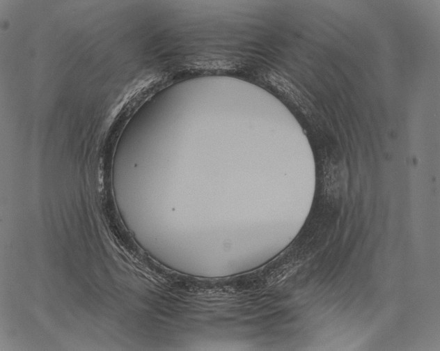 X0000062620731200601181654