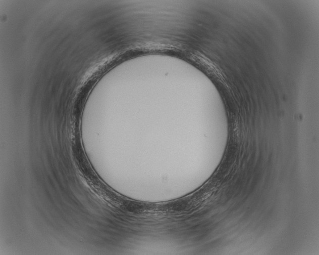 X0000062620732200601181654