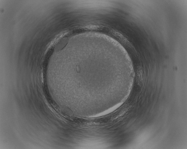 X0000062620734200601181654