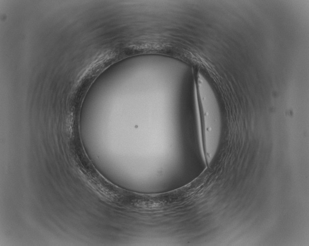 X0000062620735200601181654