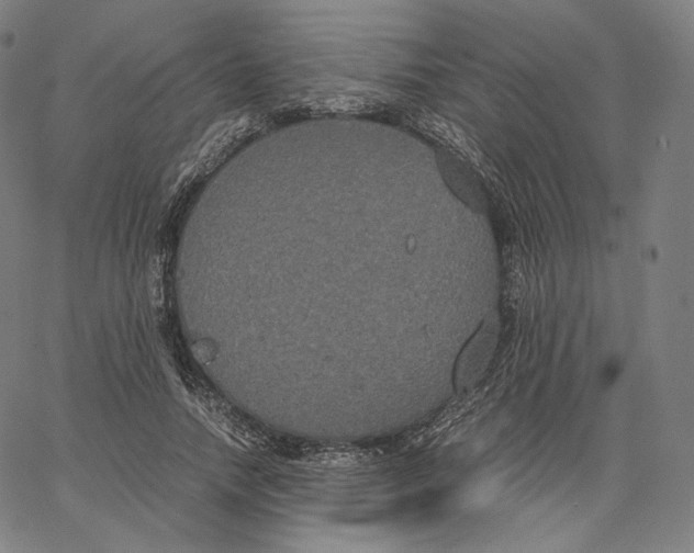 X0000062620738200601181654