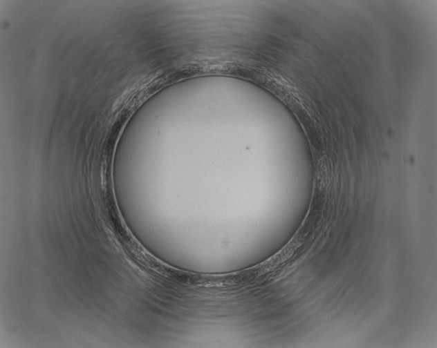 X0000062620740200601181654