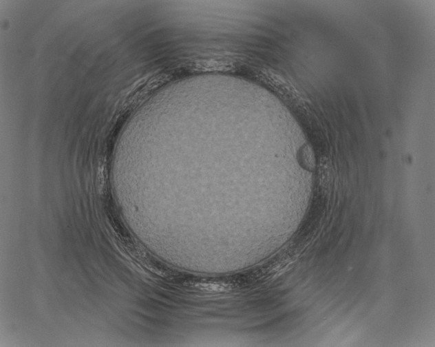 X0000062620741200601181654