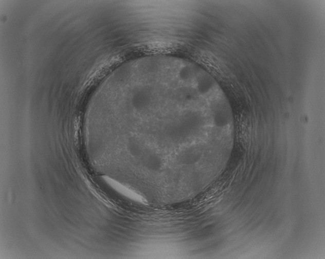 X0000062620742200601181654