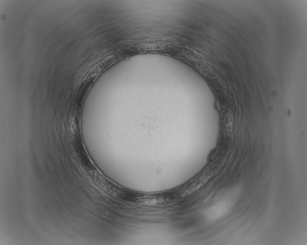 X0000062620746200601181654