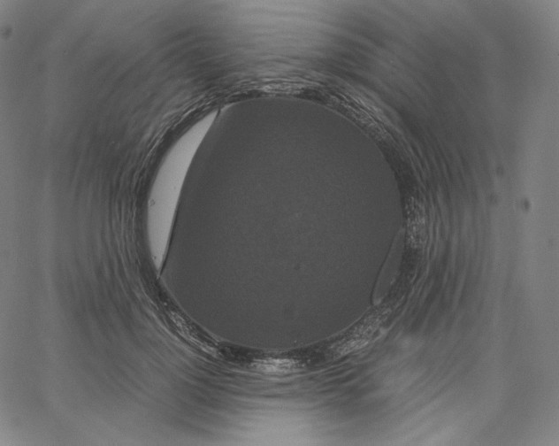 X0000062620748200601181654