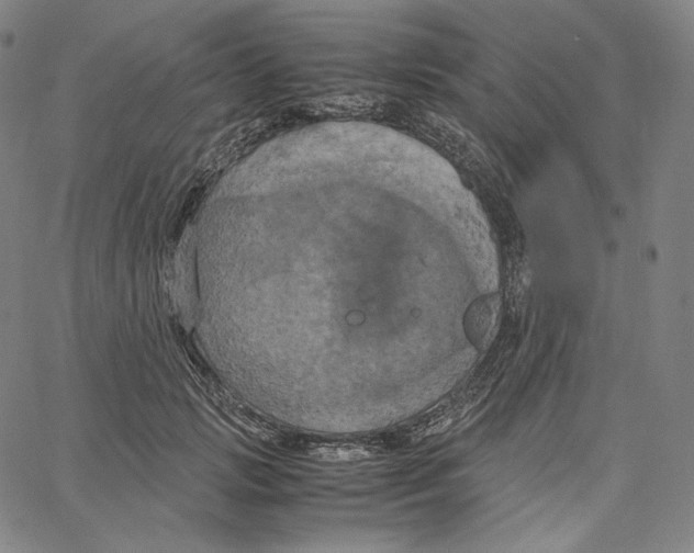 X0000062620749200601181654