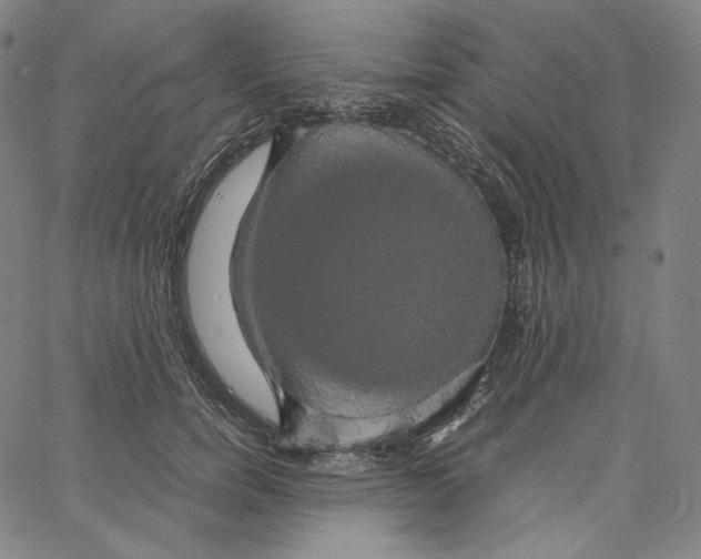 X0000062620750200601181654