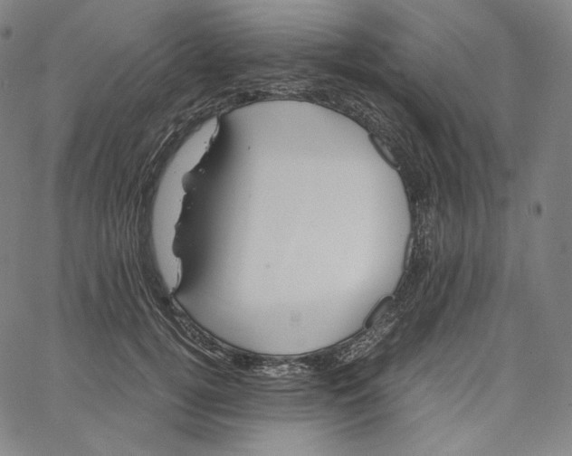 X0000062620752200601181654