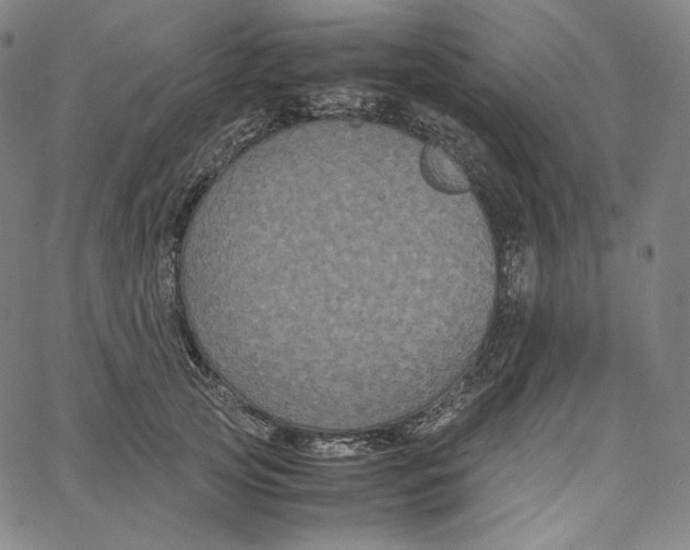 X0000062620753200601181654