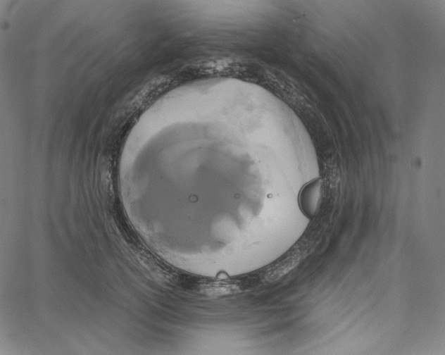 X0000062620754200601181654