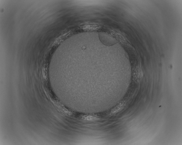 X0000062620755200601181654