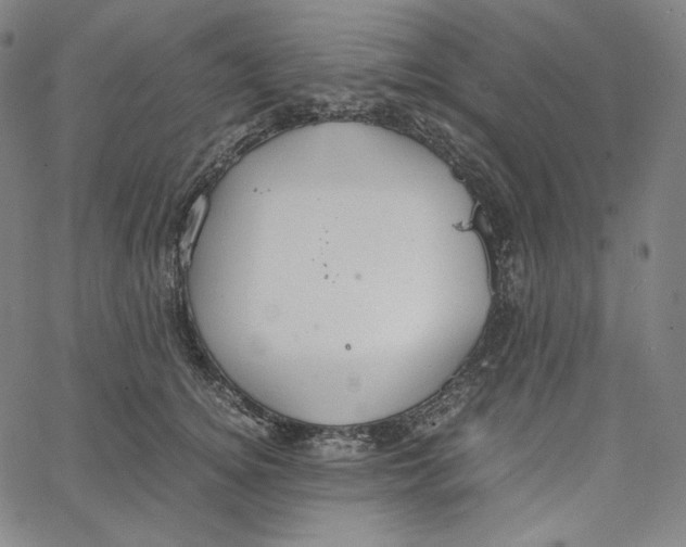 X0000062620756200601181654