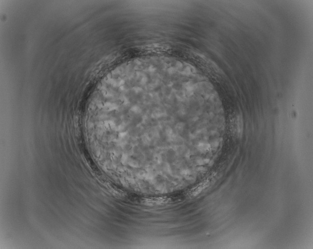 X0000062620757200601181654