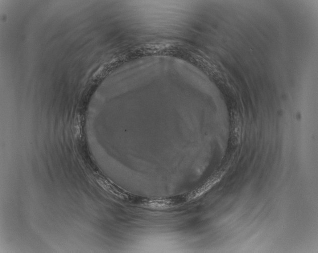 X0000062620758200601181654