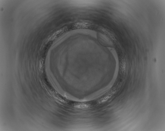 X0000062620759200601181654