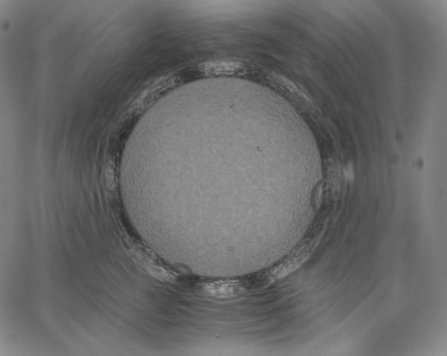 X0000062620761200601181654