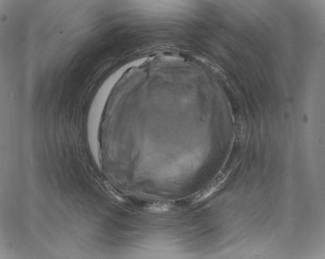 X0000062620762200601181654