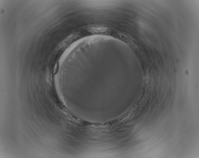 X0000062620763200601181654