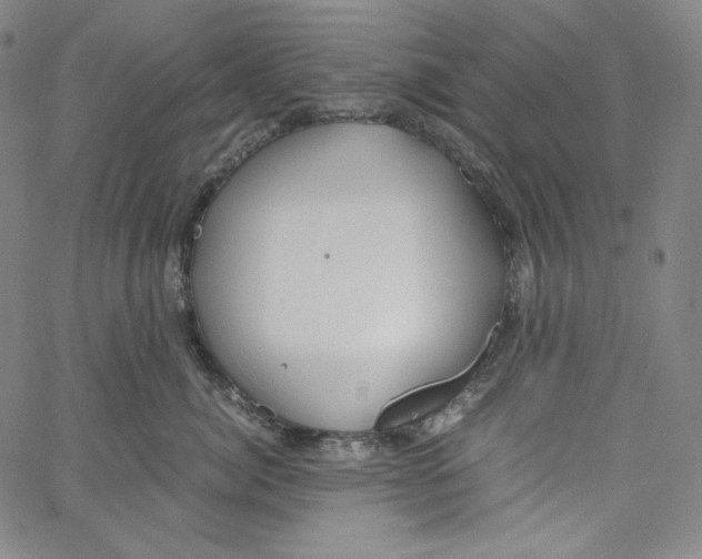 X0000062620764200601181654