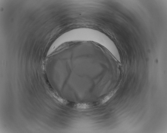 X0000062620766200601181654