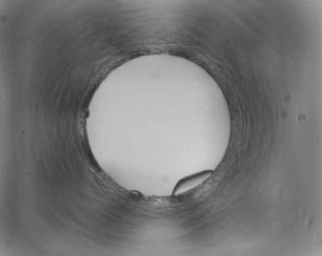 X0000062620768200601181654