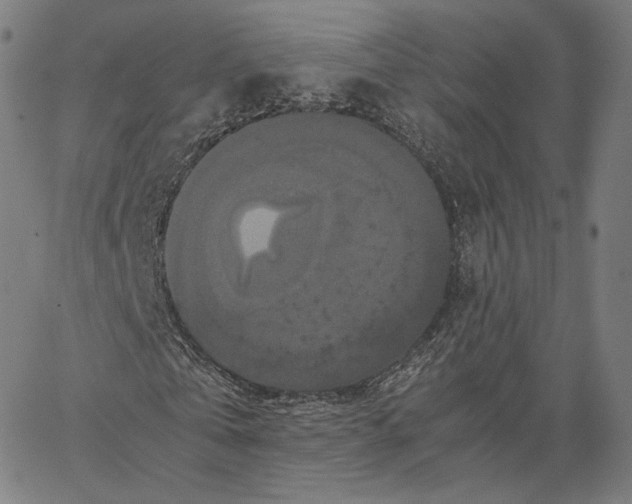 X0000062620769200601181654