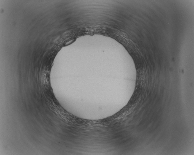 X0000062620770200601181654